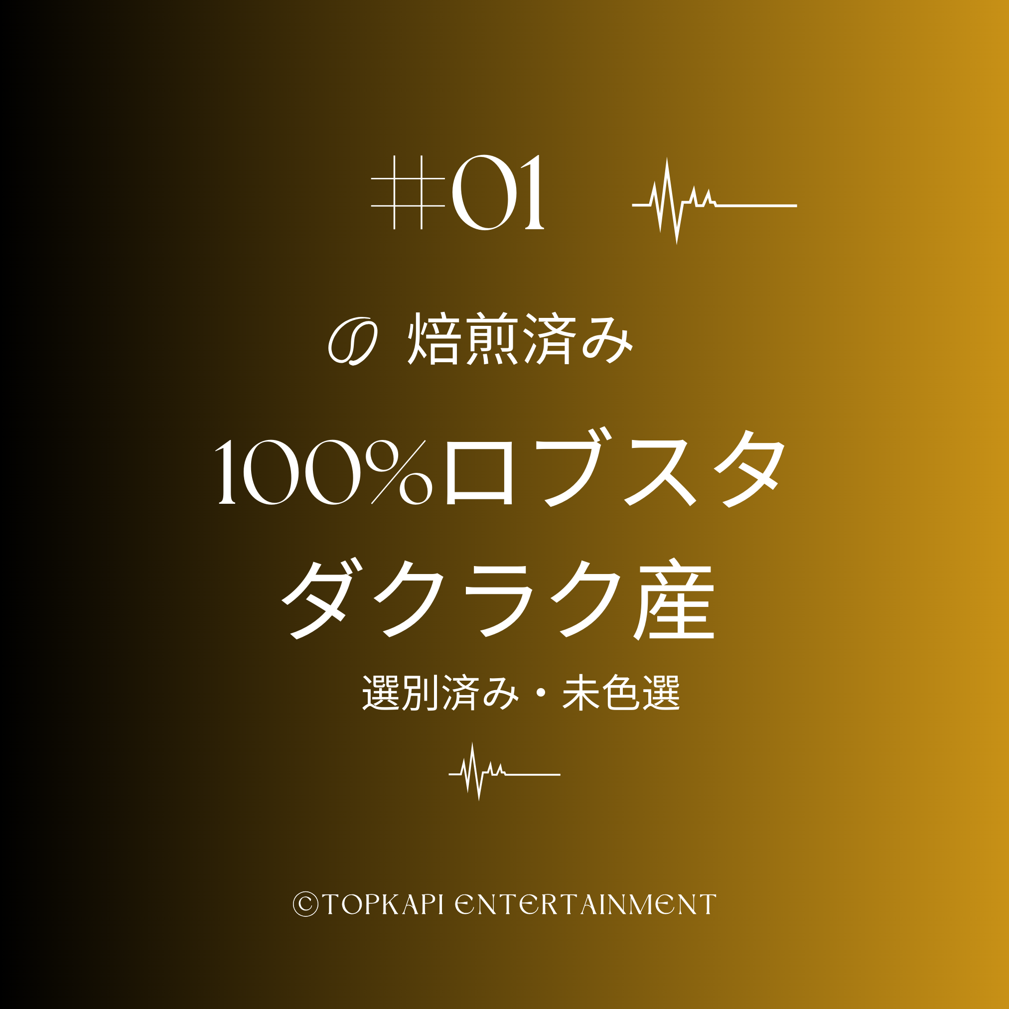 焙煎済みベトナムコーヒー豆 1KG[農園直接契約] - #1. 100% ロブスタ